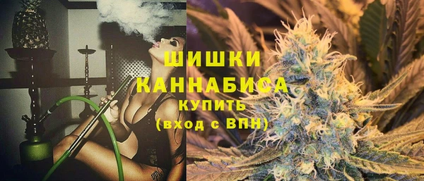 ешки Ельня