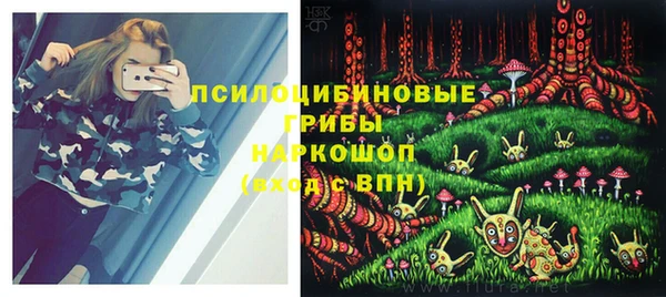 ешки Ельня