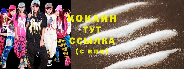 ешки Ельня
