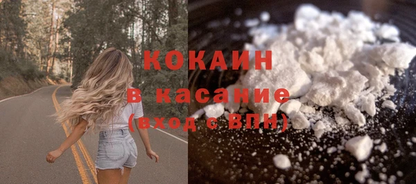 ешки Ельня