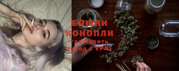 ешки Ельня