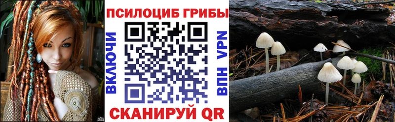 закладки  Зерноград  Галлюциногенные грибы ЛСД 